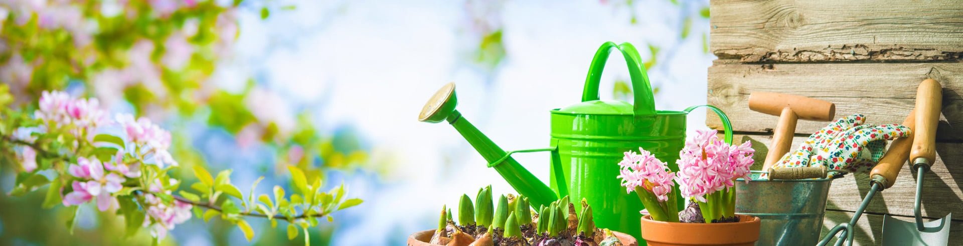 Best Plant Nursery in Bawana - Garden on Wheels